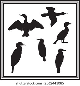 Silhouette set of Cormorant vector illustration on white background.