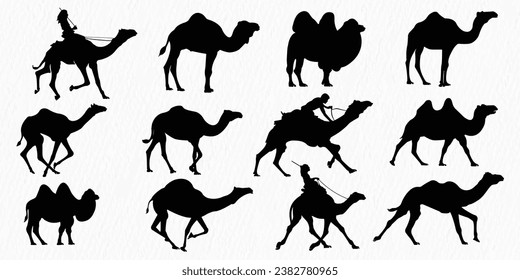 Silhouette set of Desert Camel with humps standing, running and walking.
