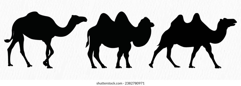 Silhouette set of Desert Camel with humps standing, running and walking.
