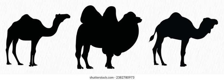 Silhouette set of Desert Camel with humps standing, running and walking.
