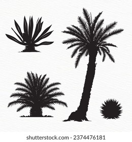 Silhouette set of Desert plants, desert trees, cactus, coconut tree, palm, Century plant,  Thompson yucca, prickly pear.