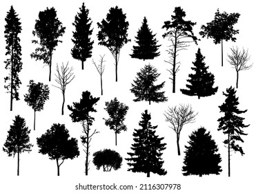 Silhouette of set different trees. Collection of coniferous evergreen forest trees, deciduous trees. Vector illustration