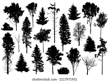 Silhouette of set different trees. Collection of coniferous evergreen forest trees, deciduous tree, bare trees. Vector illustration