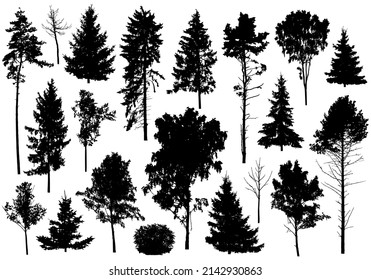 Silhouette of set different trees. Collection of coniferous evergreen forest trees, deciduous trees. Vector illustration