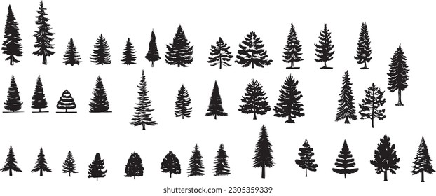 Silhouette of set different trees. Collection of coniferous evergreen forest trees, deciduous tree, bare trees. Vector illustration