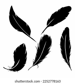 silhouette of set of feather