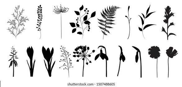 Silhouette set of flowers and herbs, black color, isolated on white background