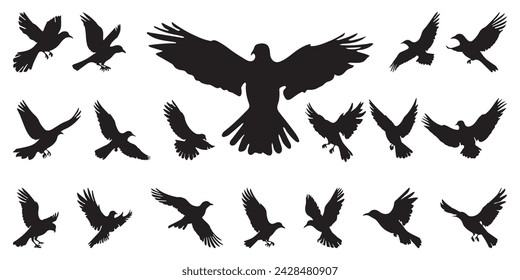 Silhouette set of flying birds. Bird's silhouettes set. bird silhouettes isolated on a white background.