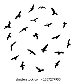 Silhouette set of flying seagulls birds on white background. Inspirational body flash tattoo ink of sea birds. Vector.
