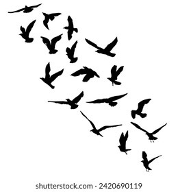 Silhouette set of flying seagulls birds on white background. Inspirational body flash tattoo ink of sea birds. Hand drawn Vector.