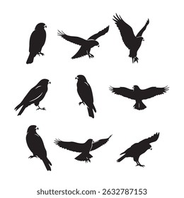 Silhouette set of hawk on white background