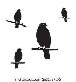 Silhouette set of hawk on white background