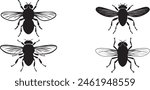 Silhouette Set Of house Fly, Isolated on white background.