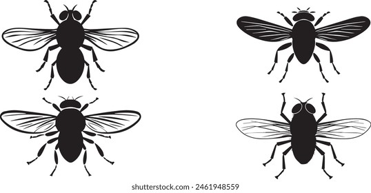 Silhouette Set Of house Fly, Isolated on white background.