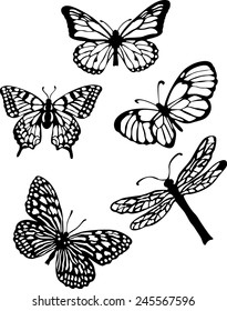 Silhouette set of isolate vector butterflies - vector illustrator