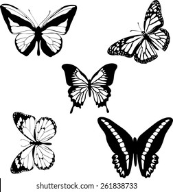 Set Butterflies Isolated On White Background Stock Vector (royalty Free 