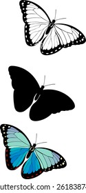 Silhouette set of isolate vector butterflies - vector illustrator