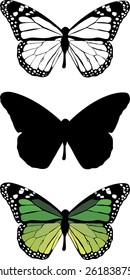 Silhouette set of isolate vector butterflies - vector illustrator