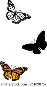 Silhouette set of isolate vector butterflies - vector illustrator