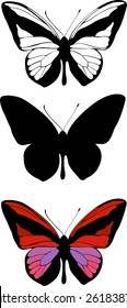 Silhouette set of isolate vector butterflies - vector illustrator