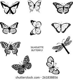 Silhouette set of isolate vector butterflies - vector illustrator