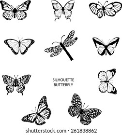 Silhouette set of isolate vector butterflies - vector illustrator