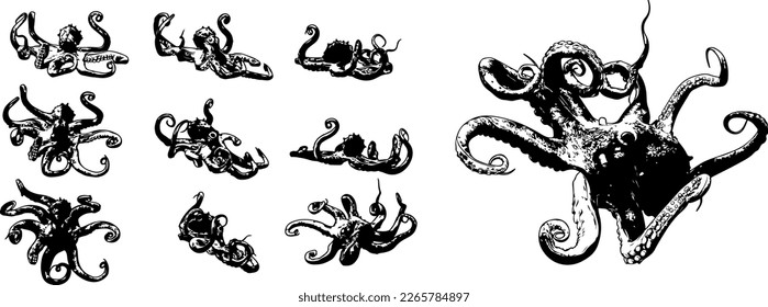 Silhouette set of octopus rendering from different angles, sketch drawing of octopus from different angle