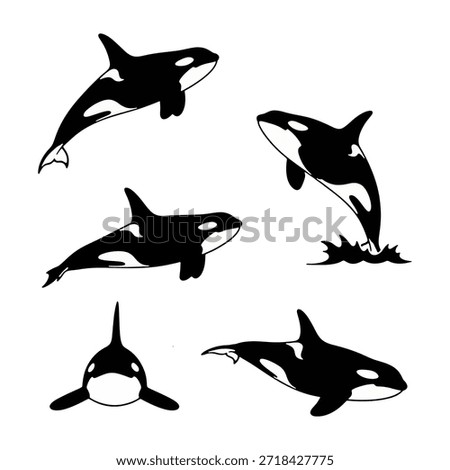 Silhouette set of orca killer whales jumping and swimming in the ocean.