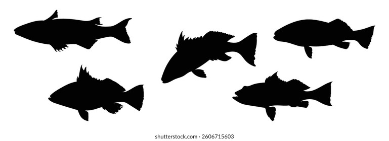 Silhouette set of sand bass fish isolated on white background, vector illustration.	