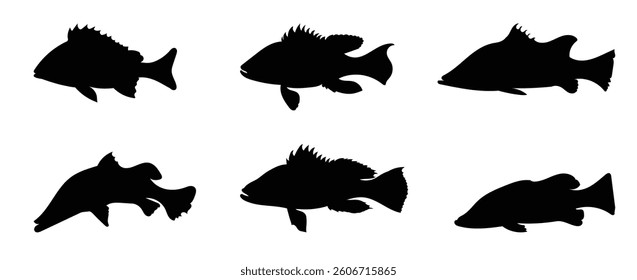 Silhouette set of seabass, barramundi fish isolated on white background, vector illustration	