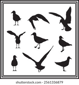 Silhouette set of seagull vector illustration on white background.