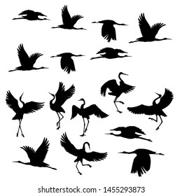 Silhouette or shadow black ink icons of crane birds or herons flying and standing set. Group of storks outline template or creative background vector illustration isolated on white.