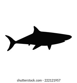 Silhouette of a shark