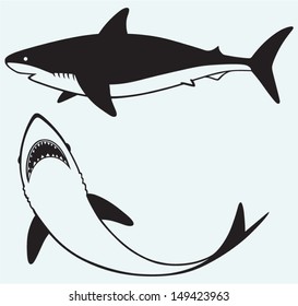 Silhouette shark isolated on blue background