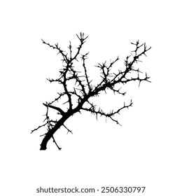 Silhouette of Sharp Thorny Branch. Vector icon design.