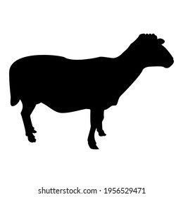 Silhouette sheep ewe domestic livestock farm animal cloven hoofed lamb cattle black color vector illustration flat style image