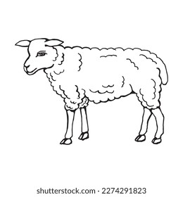 silueta de una oveja en un lado. Dibujo con líneas negras, marcador, línea de arte. Ilustración vectorial