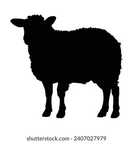 silhouette of a sheep on white 