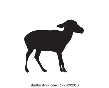 Silhouette of sheep on white background. Vector Illustration. EPS10