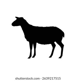 Silhouette of a sheep in a standing pose on a white background. Simple black outline design perfect for use in agriculture, farm-related graphics, or minimalist animal illustrations.