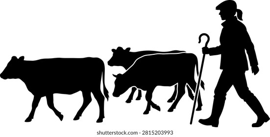 Silhouette of a shepherd walking with a herd of cattle in the countryside shepherd agriculture