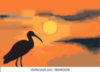 Silhouette of a shining ibis against the backdrop of a beautiful sunset