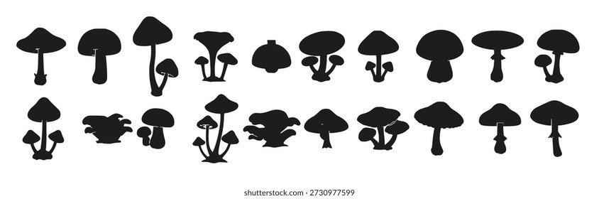 silhueta apresentando uma coleção de cogumelos e toadstools 