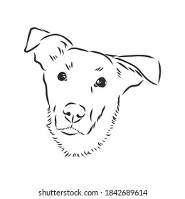 Silhouette simple head dog. Vector illustration. portrait of a dog, vector sketch illustration