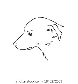 Silhouette einfacher Kopf Hund. Vektorgrafik. Porträt eines Hundes, Vektorgrafik