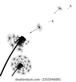 Silhouette de un simple diente de león