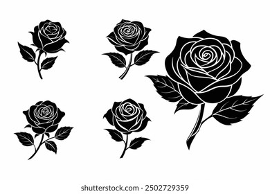 A silhouette of single black and white rose 