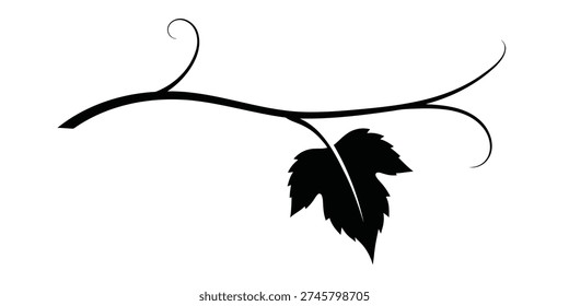 Silhouette of a single grape leaf on a vine with curls grape leaf, vine, silhouette