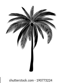 Silhouette of single palm, EPS 8.