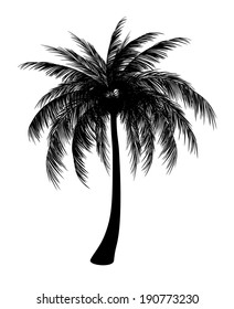 Silhouette of single palm, EPS 8.